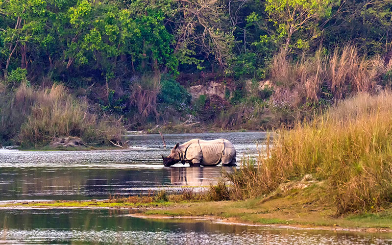 Chitwan National Park